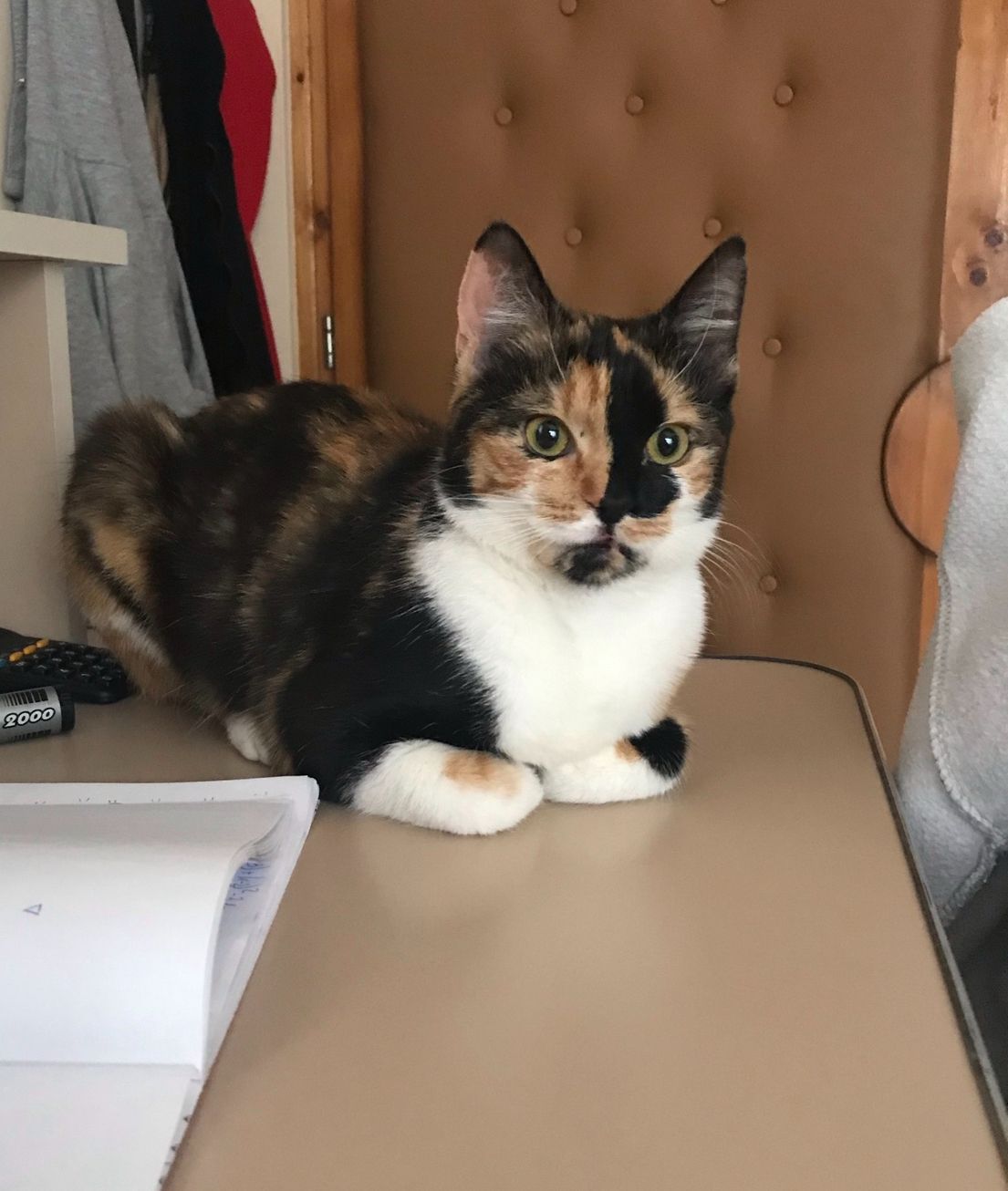 Imagine suplimentară